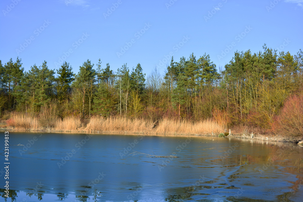 Eis auf dem Gipssee bei Donnersdorf mit Bäumen und blauem Himmel, in der Nähe vom Zabelstein in Franken, Bayern, Deutschland