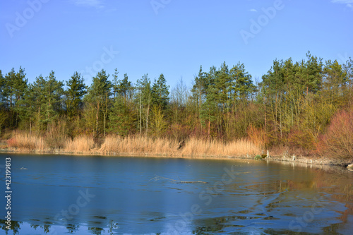 Eis auf dem Gipssee bei Donnersdorf mit Bäumen und blauem Himmel, in der Nähe vom Zabelstein in Franken, Bayern, Deutschland © GrebnerFotografie