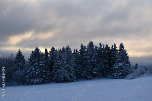 A cold February morning, Sainte-Apolline, Québec © Claude Laprise