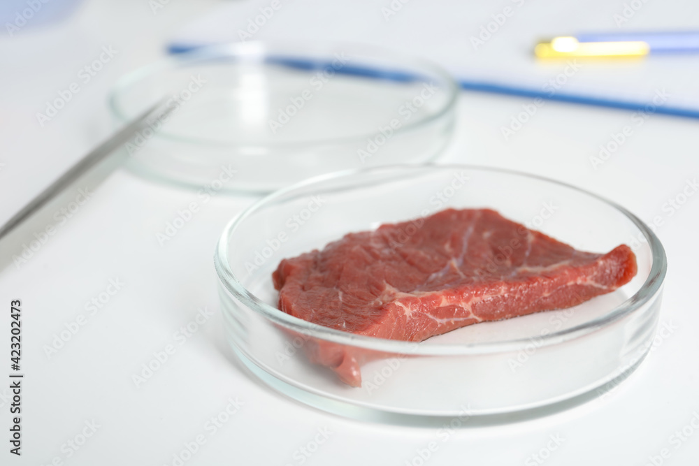 Petri dish with piece of raw cultured meat on white table, closeup Petri dish with piece of raw cultured meat on white table, closeup
