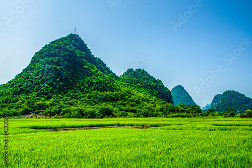 Canvas Print Rice fields in the mountains