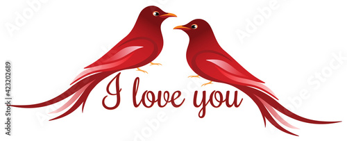 Two red birds falling in love