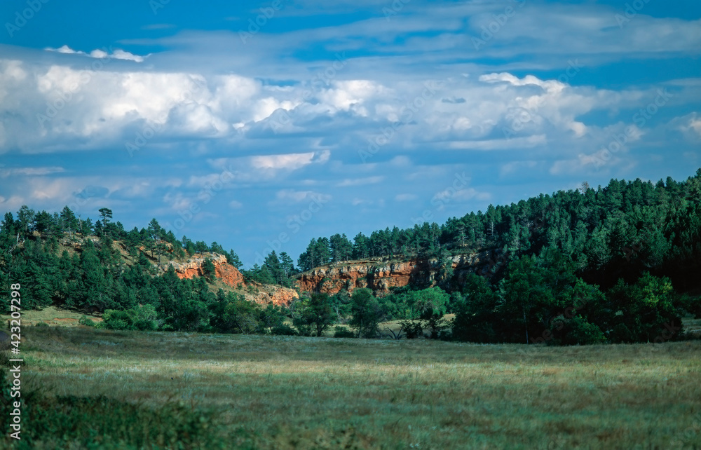 Green meadows and red sandstone cliffs in Colorado, USA