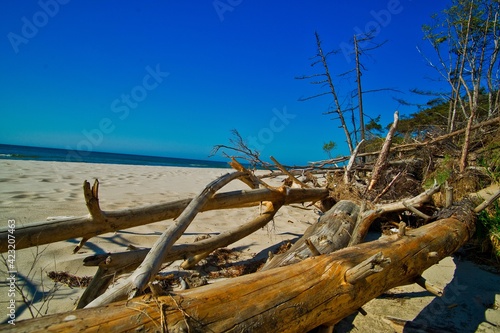 Weststrand auf der Halbinsel Fischland-Dar  -Zingst in Mecklenburg-Vorpommern