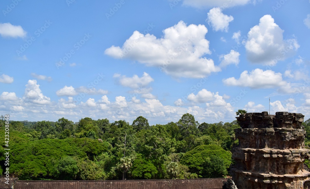 Tree line with blue sky with white clouds and an old tower