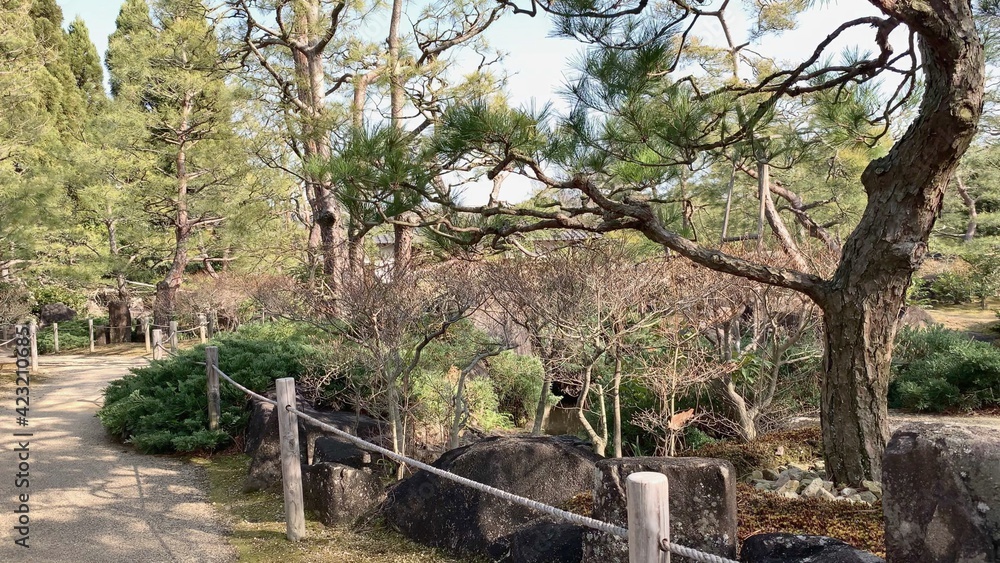 Obraz premium 好古園 姫路城 日本庭園 姫路 兵庫県