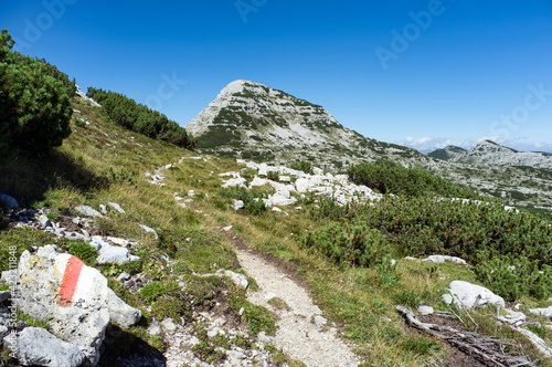 Mountain path towards the Cima 12, Plateau of Asiago, Vicenza, Italy