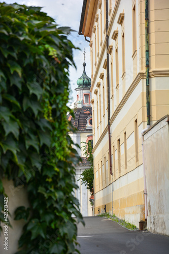 Fototapeta Naklejka Na Ścianę i Meble -  Small alley with a view of the church tower in Litoměřice Leitmeritz in the Czech Republic, with leaves on a wall