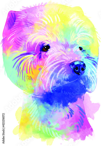 West highland white terrier - colorful dog portrait. Watercolor hand drawn illustration converted into vector. photo