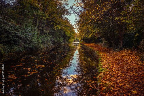 The Chesterfield canal towpath covered in autumnal leaves