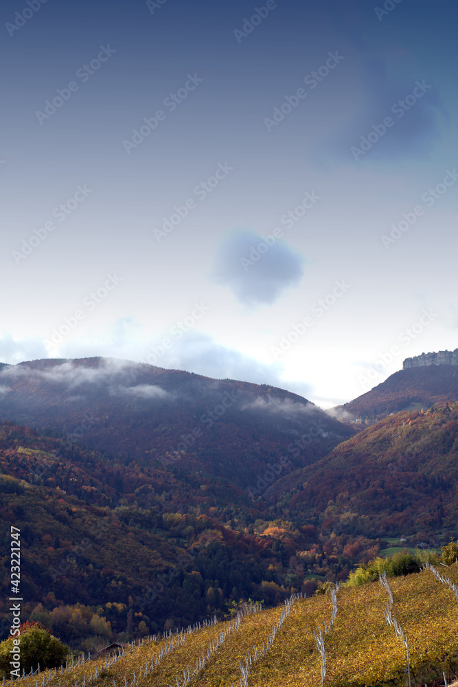 view of the mountains, landscape, sky, nature,panorama, forest, valley, green, travel, cloud,scenic, autumn,vineyard,