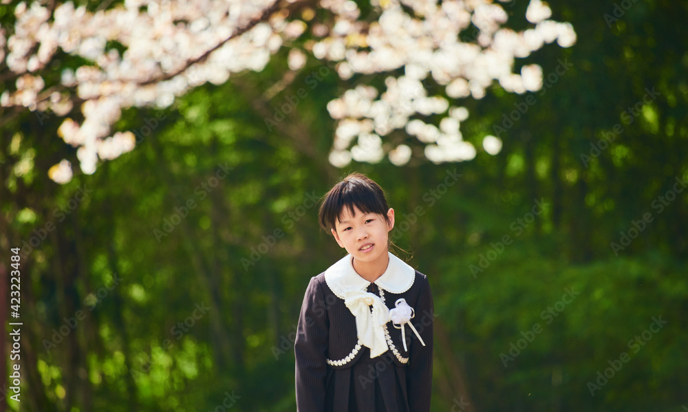 桜満開の公園で遊んでいる小学生の一年生の子供の様子 桜満開の公園で遊んでいる小学生の一年生の子供の様子