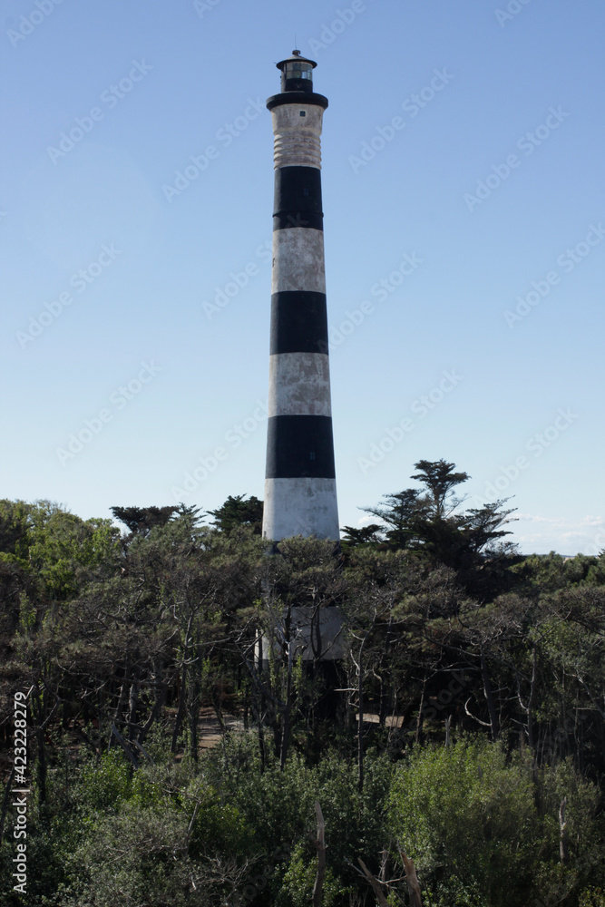 lighthouse in the nature