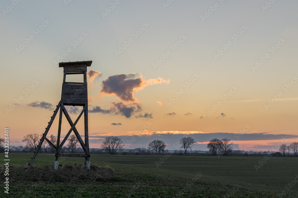 Naklejka premium hunting pulpit during sunset