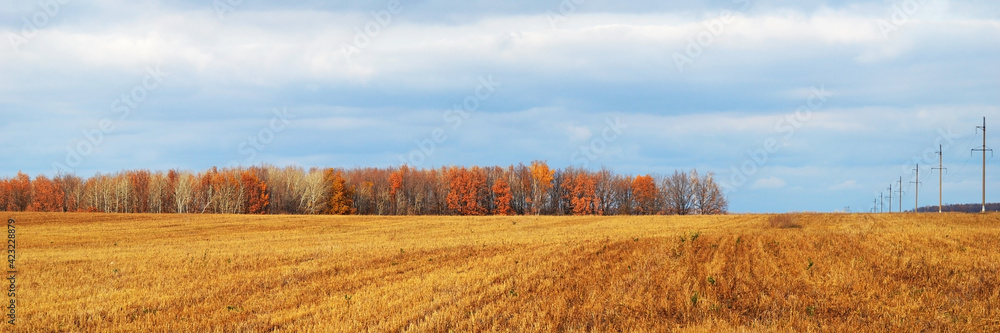 A mown field of grain, an autumn forest, a power line against the sky. Panorama.