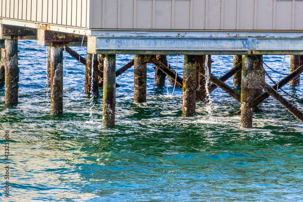 Pilings  And Water Streams