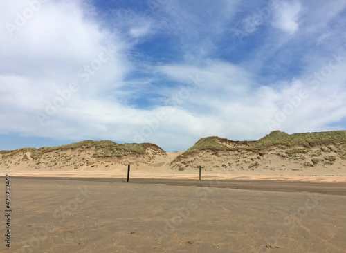 beach and dunes