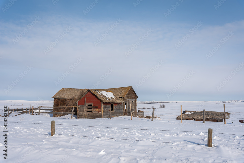 Abandoned homestead in winter. 