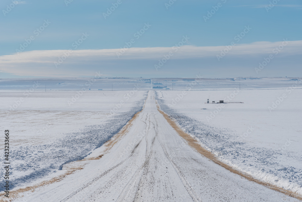 Rural road in winter. Alberta. 
