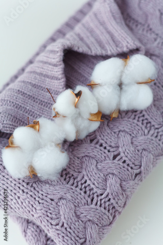 Cotton lies on a knitted purple sweater.