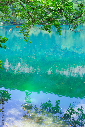 Blue lake Chirik-Kel and tree branches in the Cherek gorge