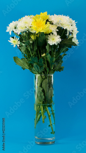 A bouquet of white, lilac, yellow flowers close-up. Spring bouquet. Happy International Women's Day. Happy womens day