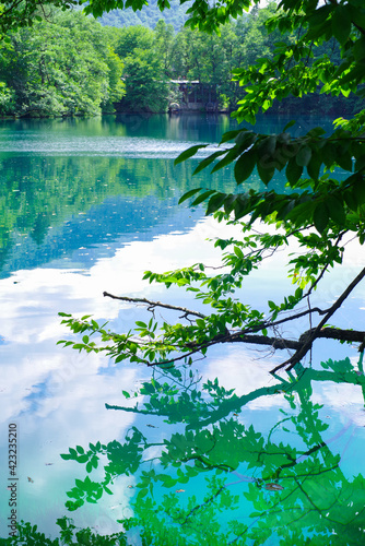 Blue lake Chirik-Kel and tree branches in the Cherek gorge