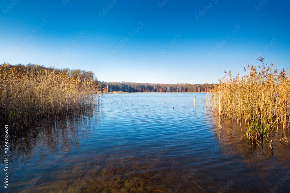 Stiller unberührter See im Herbst, Müritz Nationalpark, Mecklenburg-Vorpommern, Deutschland