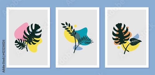Botanical plant wall art set with abstract shape for print  cover  wallpaper minimalist
