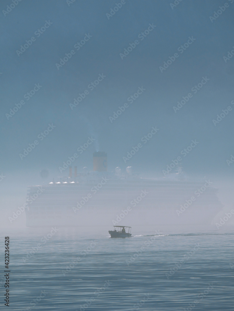 Statek wycieczkowy we mgle - obrazy, fototapety, plakaty 