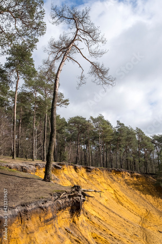 Hünsberg, Coesfelder Heide photo