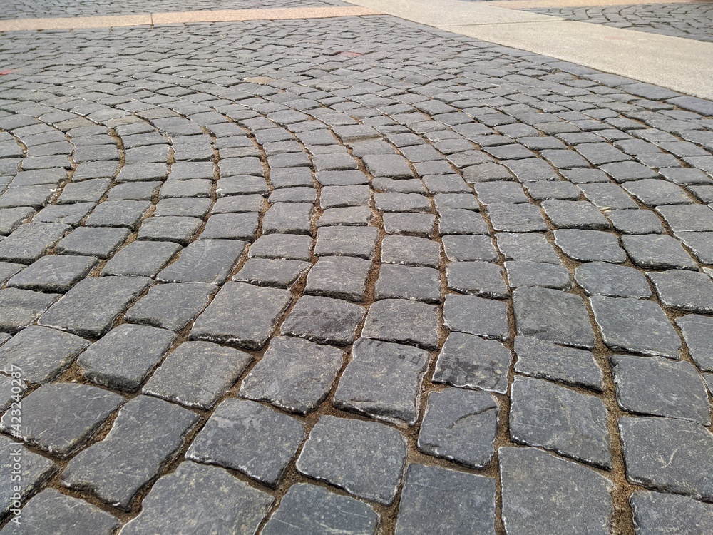 Fototapeta premium sidewalk in the park lined with tiles in the spring season