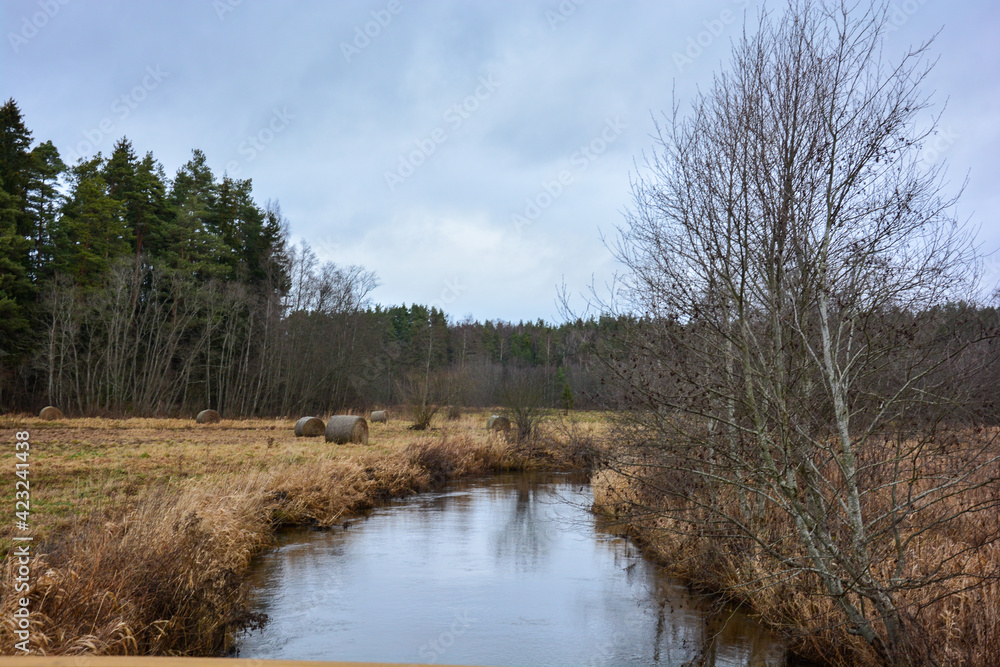 Fluss und Wald in Estland im Winter