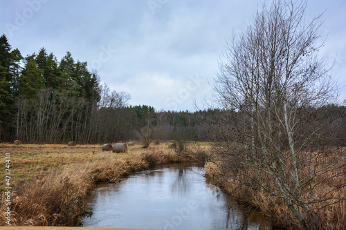 Fluss und Wald in Estland im Winter