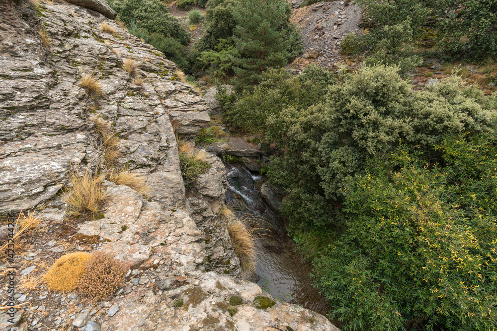 stream of water in the mountain