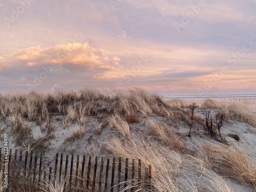 Wildwood Crest Dunes  photo