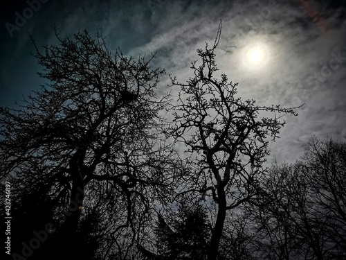 spooky halloween night © Hans Hansen