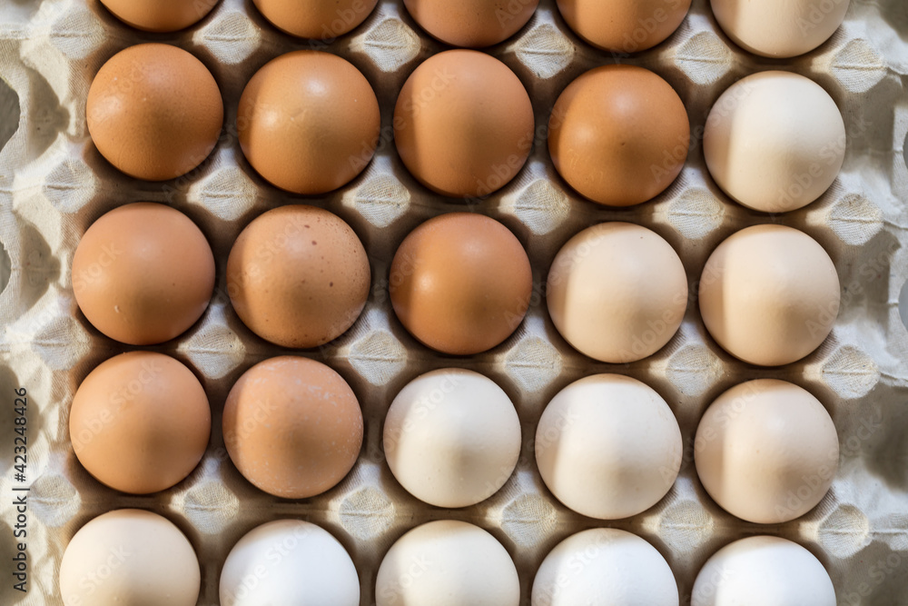 chicken eggs chicken eggs