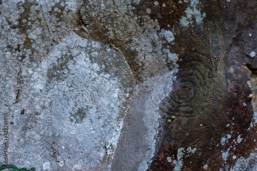 Stone engravements made by indigenous people at La Zarza cultural park, La Palma, Canary islands, Spain photo