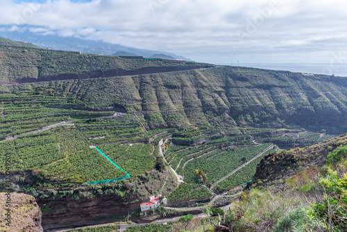 Agricultural landscape of La Palma at barranco de las angustias, Canary islands, Spain photo