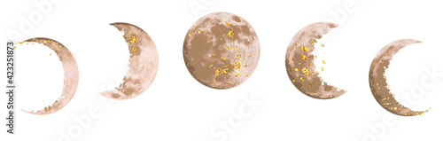 Beige and gold moon phases vector design set