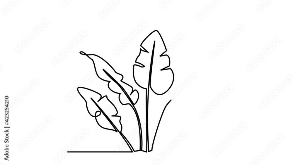PALM LEAF. CONTINUOUS LINE DRAWING. STROKE TRIM. SURREAL ART ANIMATION PALM LEAF. CONTINUOUS LINE DRAWING. STROKE TRIM. SURREAL ART ANIMATION