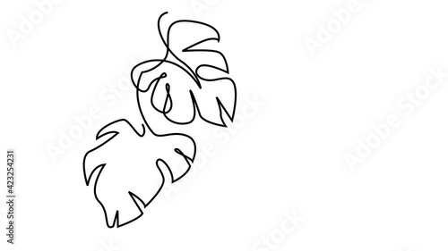 FAMALE FACE WITH LEAF. CONTINUOUS LINE DRAWING. STROKE TRIM. SURREAL ART ANIMATION