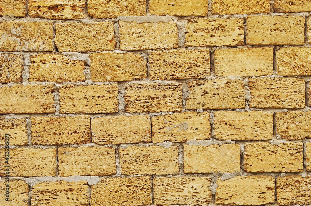 Obraz premium Background with wall from shell rock material