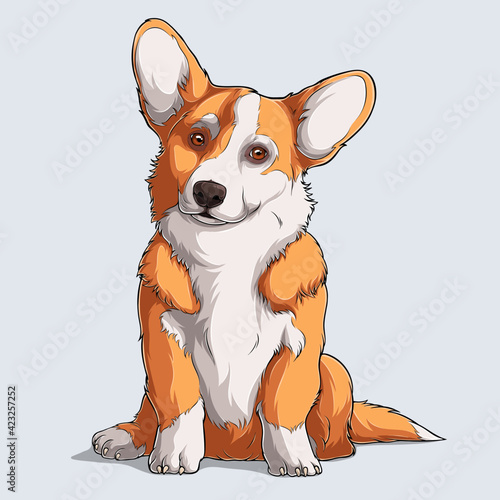 Cute Welsh corgi fluffy Pembroke dog sitting isolated on white background illustrated with colorful shadows and lights