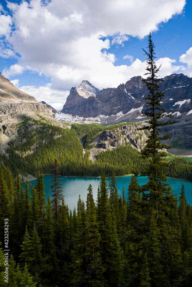 Views of Lake O'Hara and the surrounding alpine terrain in Yoho National Park, British Columbia, Canada Views of Lake O'Hara and the surrounding alpine terrain in Yoho National Park, British Columbia, Canada
