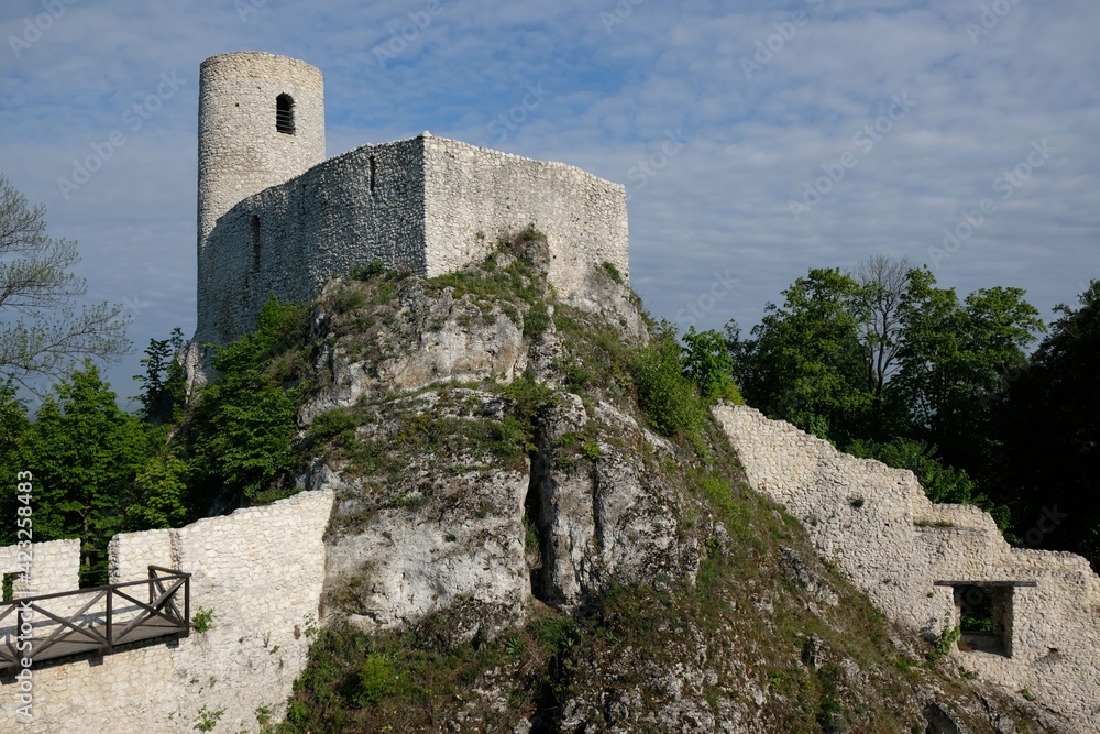 Ruins of medieval castle. It is Pilcza castle on Eagles Nests trail in the Jura region, Smolen, Krakowsko-Czestochowska Upland, Silesia, Poland