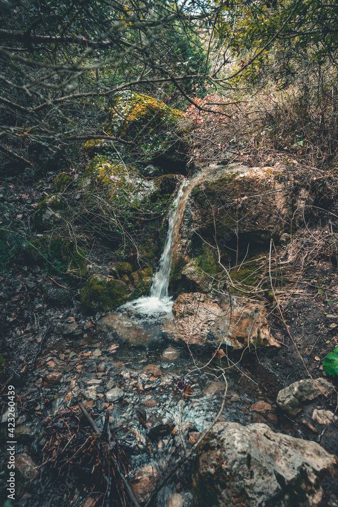 Obraz premium waterfall in the woods