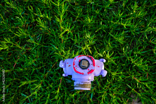 Purple and red hydrant, vibrant green plants in background, top view. photo