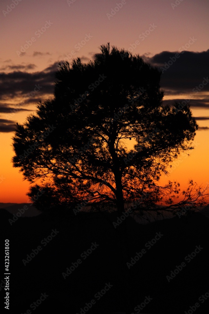 sunset sunset